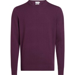 Textiel Heren Sweaters / Sweatshirts Calvin Klein Jeans Merino Crew Neck Swe Violet