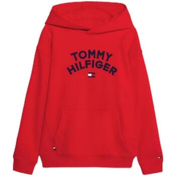 Textiel Jongens Sweaters / Sweatshirts Tommy Hilfiger  Rood