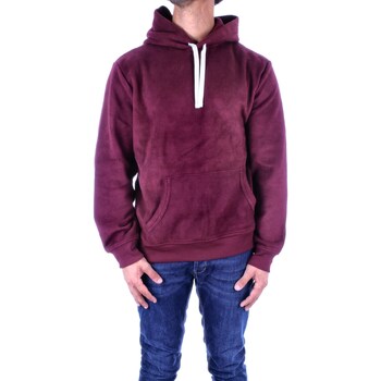 Textiel Heren Sweaters / Sweatshirts Ralph Lauren 714915967 Violet