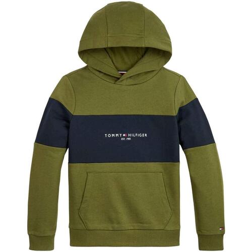 Textiel Jongens Sweaters / Sweatshirts Tommy Hilfiger  Groen