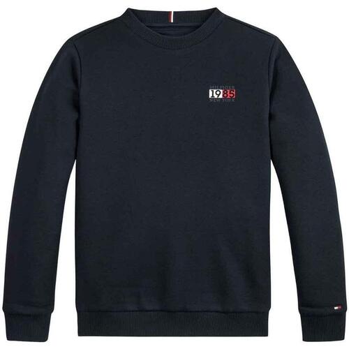 Textiel Jongens Sweaters / Sweatshirts Tommy Hilfiger  Blauw
