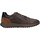 Schoenen Heren Lage sneakers IgI&CO 4640722 Bruin