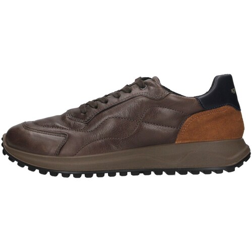 Schoenen Heren Lage sneakers IgI&CO 4640722 Bruin