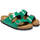 Schoenen Dames slippers Birkenstock Arizona BS Groen