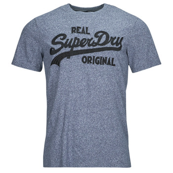 Textiel Heren T-shirts korte mouwen Superdry EMBROIDERED VL T SHIRT Grijs