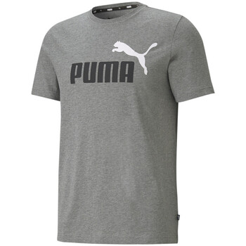 Textiel Heren T-shirts & Polo’s Puma  Grijs