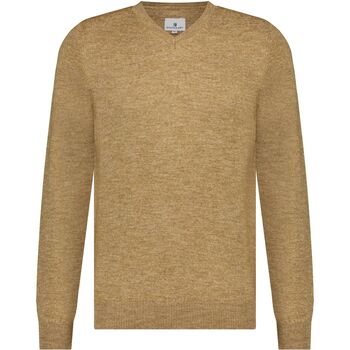 Textiel Heren Sweaters / Sweatshirts State Of Art Trui V-Hals Beige Melange Beige