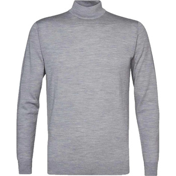 Textiel Heren Sweaters / Sweatshirts Profuomo Turtleneck Trui Merino Grijs Grijs