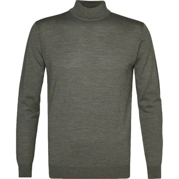 Textiel Heren Sweaters / Sweatshirts Profuomo Turtleneck Trui Merino Groen Groen