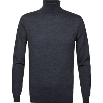 Textiel Heren Sweaters / Sweatshirts Profuomo Coltrui Merino Antraciet Grijs