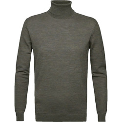 Textiel Heren Sweaters / Sweatshirts Profuomo Coltrui Merino Groen Groen