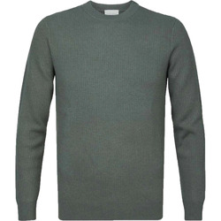 Textiel Heren Sweaters / Sweatshirts Profuomo Trui Wol Groen Groen