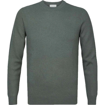 Textiel Heren Sweaters / Sweatshirts Profuomo Trui Wol Groen Groen
