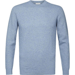 Textiel Heren Sweaters / Sweatshirts Profuomo Trui Wol Lichtblauw Blauw