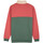 Textiel Heren Sweaters / Sweatshirts Santa Cruz Classic dot label quarter crew Multicolour