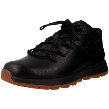 Schoenen Heren Sneakers Timberland  Zwart