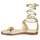 Schoenen Dames Sandalen / Open schoenen MICHAEL Michael Kors AMARA FLAT SANDAL Goud