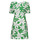 Textiel Dames Korte jurken Desigual VEST_NASHVILLE Groen / Wit