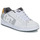 Schoenen Heren Lage sneakers DC Shoes NET Wit / Grijs