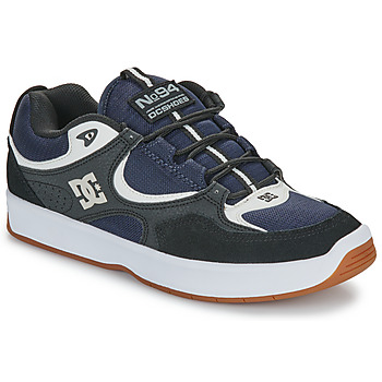 Schoenen Heren Lage sneakers DC Shoes KALYNX ZERO Zwart / Blauw
