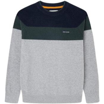 Textiel Jongens Sweaters / Sweatshirts Pepe jeans  Multicolour