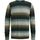 Textiel Heren Sweaters / Sweatshirts Cast Iron Trui Strepen Multicolour Groen