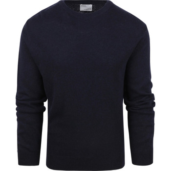 Textiel Heren Sweaters / Sweatshirts Colorful Standard Trui Merino Navy Blauw