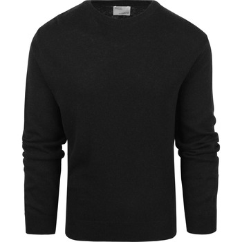 Textiel Heren Sweaters / Sweatshirts Colorful Standard Trui Merino Zwart Zwart