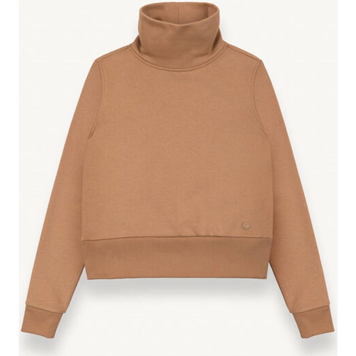Textiel Dames Sweaters / Sweatshirts Colmar 9258 Bruin