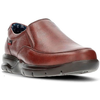 Schoenen Heren Sneakers CallagHan MANDEN  55601 Bruin