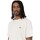 Textiel Heren T-shirts & Polo’s Dickies Ss Mapleton Tee Wit