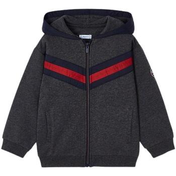 Textiel Jongens Sweaters / Sweatshirts Mayoral  Grijs