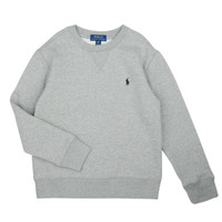 Textiel Kinderen Sweaters / Sweatshirts Polo Ralph Lauren LS CN-TOPS-KNIT Grijs / Sport