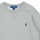Textiel Kinderen Sweaters / Sweatshirts Polo Ralph Lauren LS CN-TOPS-KNIT Grijs