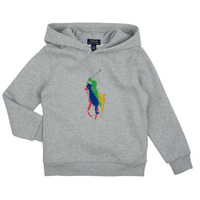 Textiel Kinderen Sweaters / Sweatshirts Polo Ralph Lauren PO HOOD-KNIT SHIRTS-SWEATSHIRT Grijs / Andover