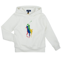 Textiel Kinderen Sweaters / Sweatshirts Polo Ralph Lauren PO HOOD-KNIT SHIRTS-SWEATSHIRT Wit / Deckwash / Whte