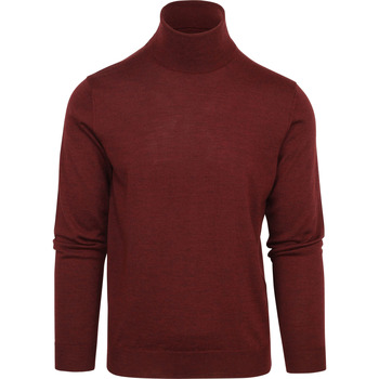 Textiel Heren Sweaters / Sweatshirts Suitable Merino Coltrui Bordeaux Rood