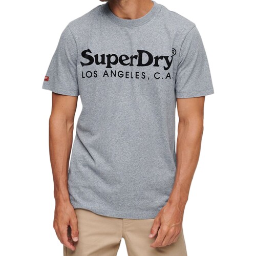 Textiel Heren T-shirts korte mouwen Superdry 223873 Blauw