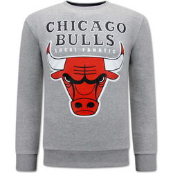 Textiel Heren Sweaters / Sweatshirts Local Fanatic Chicago Bulls Grijs