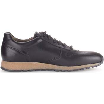Schoenen Heren Sneakers Pius Gabor 0496.13.12 Zwart