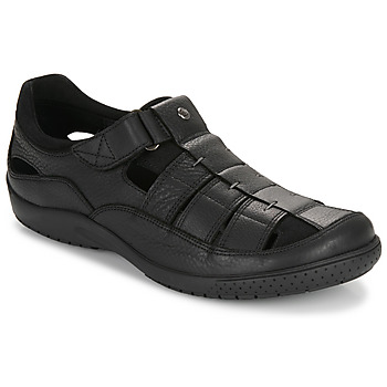 Schoenen Heren Sandalen / Open schoenen Panama Jack MERIDIAN C25 Zwart
