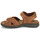 Schoenen Heren Sandalen / Open schoenen Panama Jack SANDERS BASICS C4 Leer