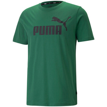 Textiel Heren T-shirts & Polo’s Puma  Groen