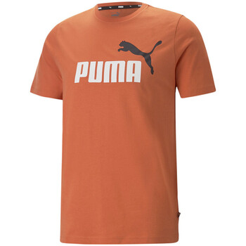 Textiel Heren T-shirts & Polo’s Puma  Oranje