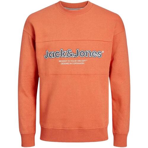 Textiel Jongens Sweaters / Sweatshirts Jack & Jones  Oranje