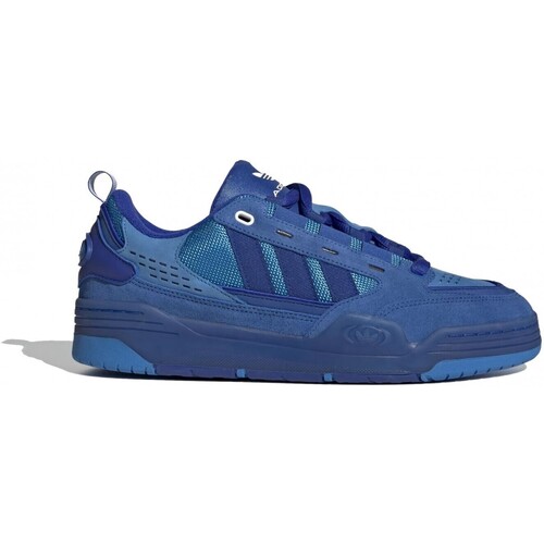 Schoenen Heren Lage sneakers adidas Originals Adi2000 Blauw
