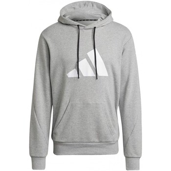 Textiel Heren Sweaters / Sweatshirts adidas Originals M Fi 3B Hoodie Grijs
