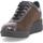 Schoenen Dames Lage sneakers Melluso R25642D-227624 Bruin