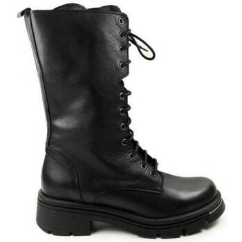 Schoenen Dames Low boots Gianni Crast DAMES hoge veterschoen   82394 zwart Zwart