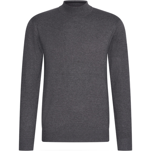 Textiel Heren Sweaters / Sweatshirts Cappuccino Italia turtle neck trui Grijs